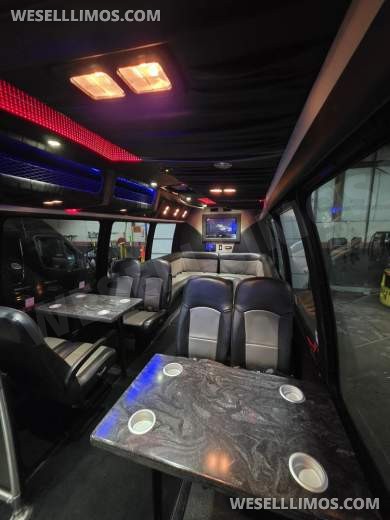 2011 Ameritrans Ford E450 Limo Bus - Limo Bus for Sale in Erie, PA - Photo 15