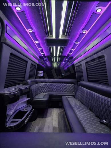2023 SPV Mercedes-Benz Sprinter Limo Bus - Limo Bus for Sale in Erie, PA - Photo 16
