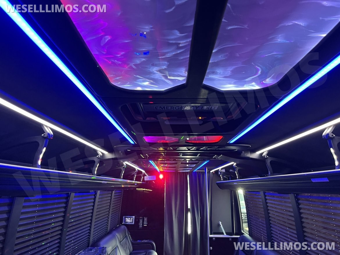 Photo of Limo Bus for sale: 2019 Ford F550 by Grech
