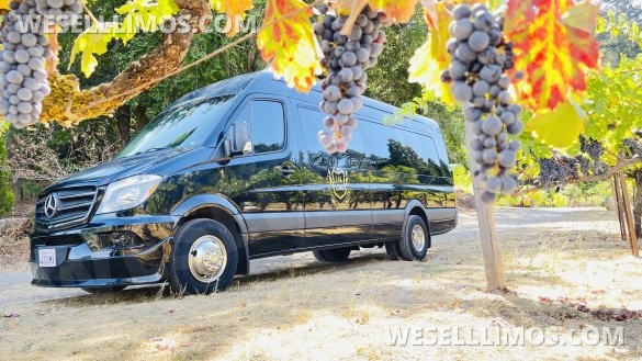 2016 Mercedes-Benz 3500 Sprinter for Sale in Hayward, CA - Photo 3