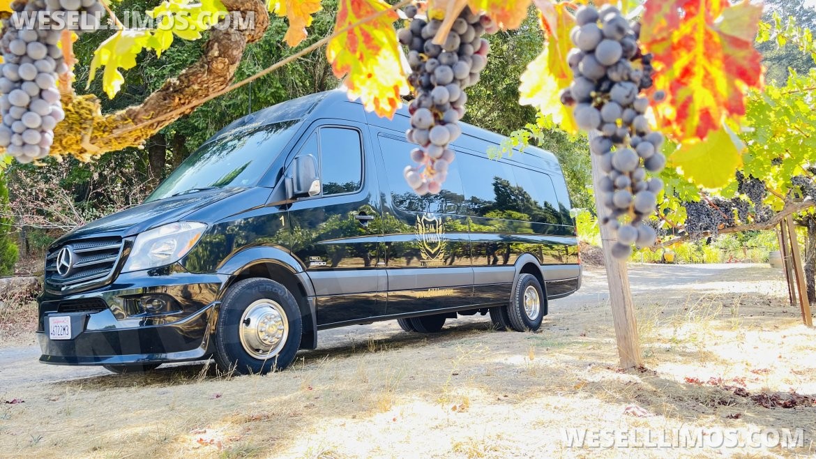 Photo of Sprinter for sale: 2016 Mercedes-Benz 3500 by Grech