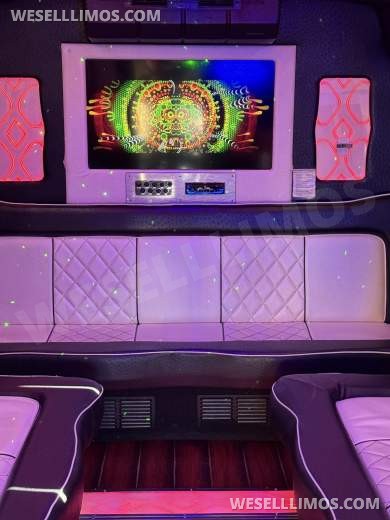 2012 First Class Coachworks Ford E450 Limo Bus - Limo Bus for Sale in Denver, CO - Photo 3