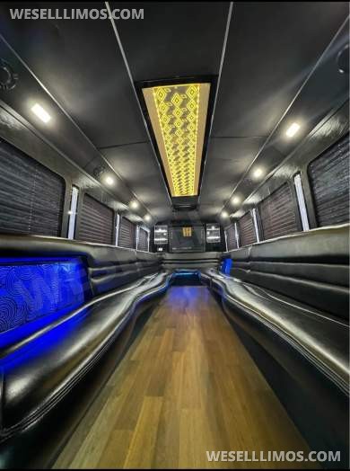 2015 LGE Ford F550 Limo Bus - Limo Bus for Sale in Seminole, FL - Photo 9