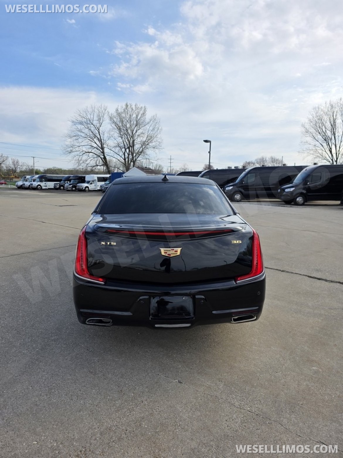 Photo of Limousine for sale: 2008 Cadillac Deville_XTS 100" by Dabryan