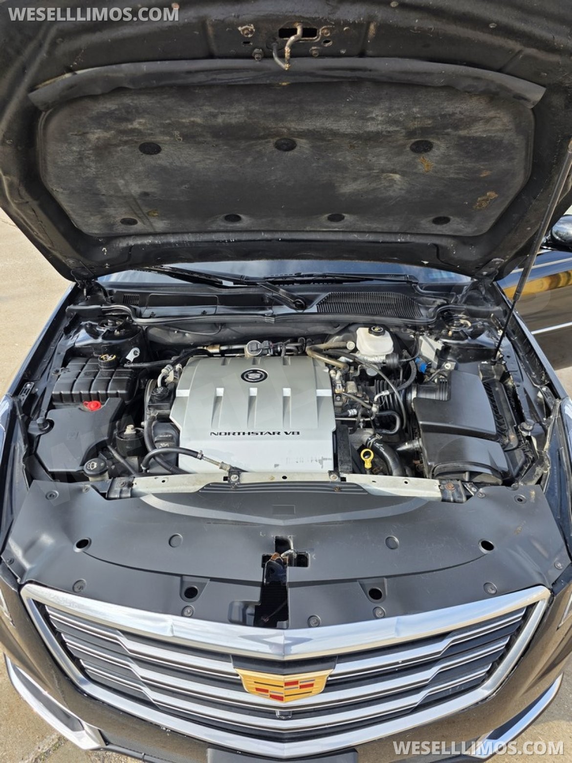 Photo of Limousine for sale: 2008 Cadillac Deville_XTS 100" by Dabryan