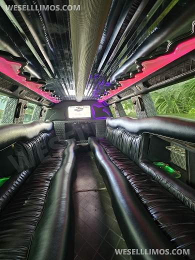 2015 Blackstone Builders Cadillac Escalade Limousine - Limousine for Sale in Pompano Beach, FL - Photo 11