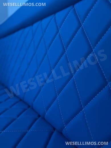 2024 Mercedes-Benz Limo Sprinter "Yacht Edition" - Sprinter for Sale in Palm Beach, FL - Photo 9