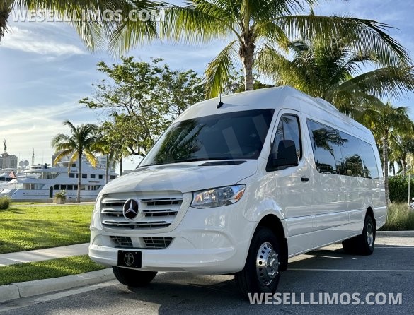 2024 Mercedes-Benz Sprinter Sprinter for Sale in Palm Beach, FL - Photo 3