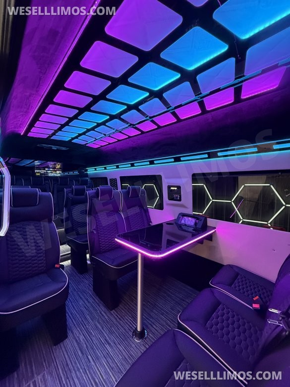 2026 Mercedes-Benz Executive shuttle Sprinter for Sale in Springfield, MO - Photo 2