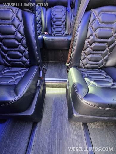 2018 Grech Motors Mercedes-Benz 3500 EXT Executive Shuttle Sprinter - Sprinter for Sale in Ft. Collins, CO - Photo 4