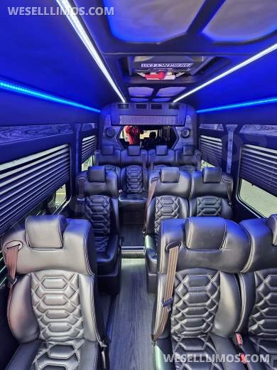 2018 Grech Motors Mercedes-Benz 3500 EXT Executive Shuttle Sprinter - Sprinter for Sale in Ft. Collins, CO - Photo 7