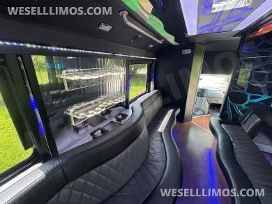 2013 LGE Coachworks Ford 20-22 Limo Bus - Limo Bus for Sale in Morganville, NJ - Photo 20