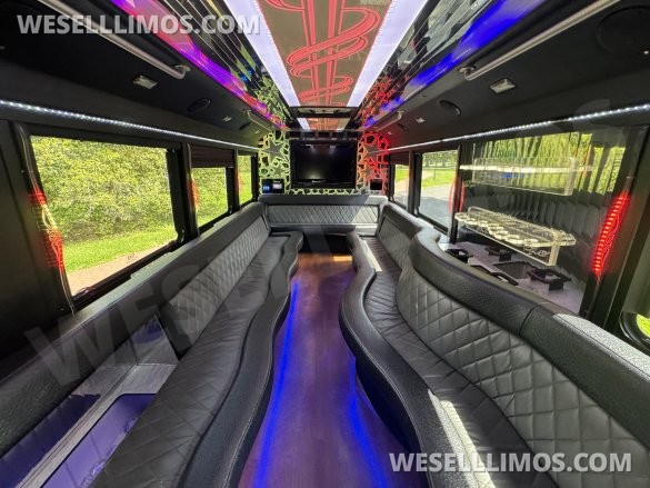 2013 Ford 20-22 Pass Limo Bus Limo Bus for Sale in Morganville, NJ - Photo 2