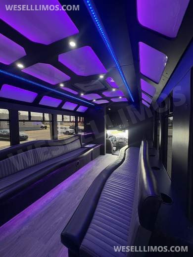 2018 Custom Mobile Conversions Ford F-450 Limo Bus - Limo Bus for Sale in Fraser, MI - Photo 6