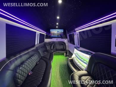 2021 First Class Customs, Inc. Mercedes-Benz Limo Sprinter Limo Bus - Limo Bus for Sale in Springfield, MO - Photo 15