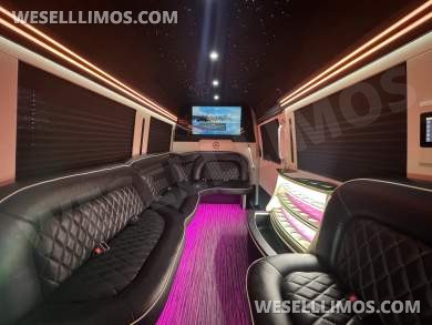 2021 First Class Customs, Inc. Mercedes-Benz Limo Sprinter Limo Bus - Limo Bus for Sale in Springfield, MO - Photo 20