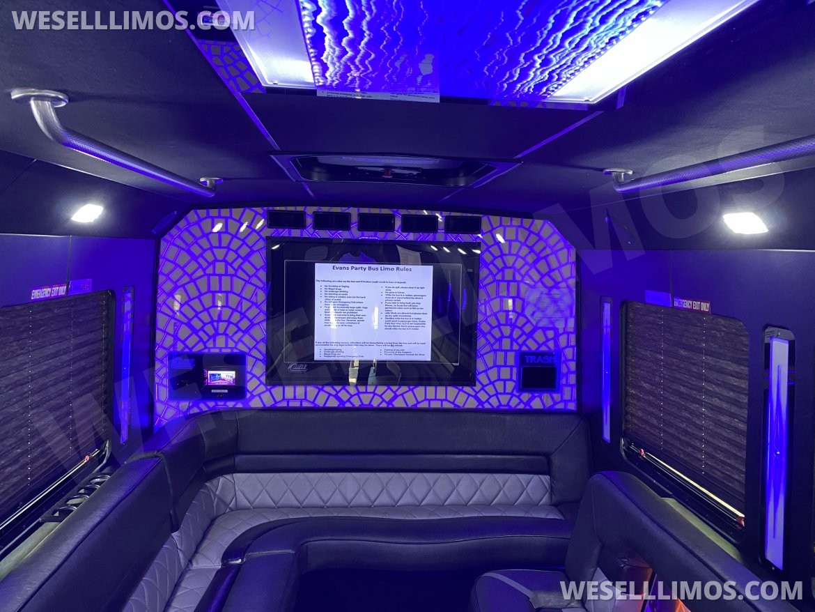 Photo of Limo Bus for sale: 2015 Ford 550 30" by LGE