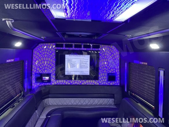 2015 Ford 550 Limo Bus for Sale in Orangeburg, SC - Photo 3