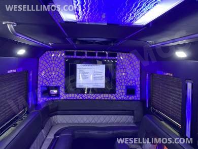 2015 LGE Ford 550 Limo Bus - Limo Bus for Sale in Charlotte, NC - Photo 3