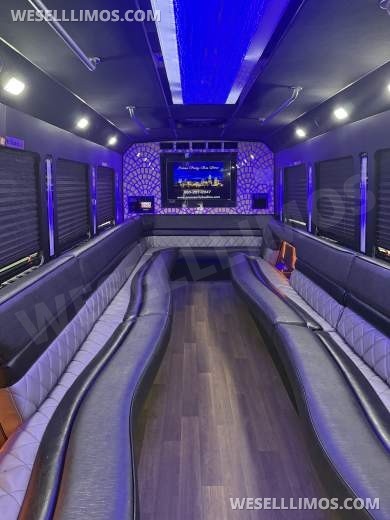 2015 LGE Ford 550 Limo Bus - Limo Bus for Sale in Charlotte, NC - Photo 10