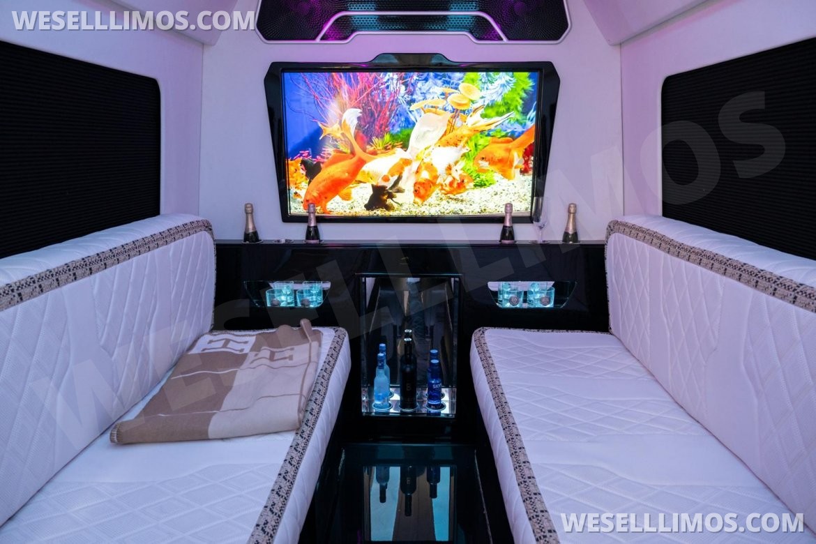 Photo of Sprinter for sale: 2026 Mercedes-Benz 177 177" by High roof