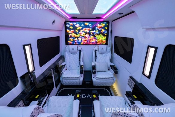 2026 Mercedes-Benz 177 Sprinter for Sale in Beverly Hills, CA - Photo 2