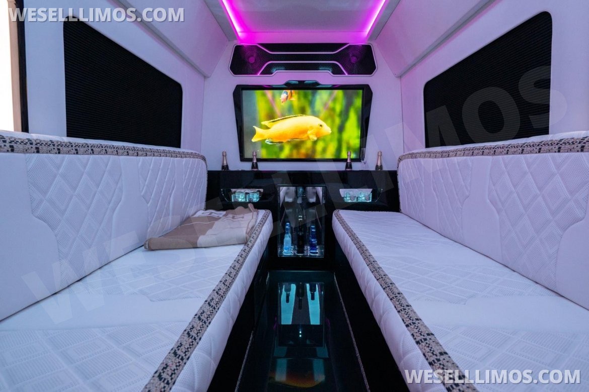 Photo of Sprinter for sale: 2026 Mercedes-Benz 177 177" by High roof