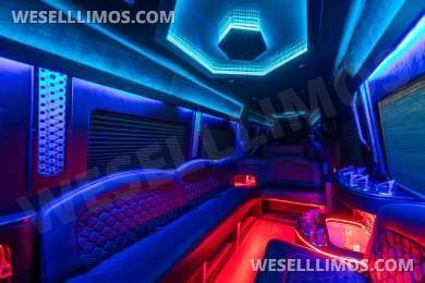 2020 Mercedes Sprinter 3500 Limo Bus - Sprinter for Sale in Fort Myers, FL - Photo 10