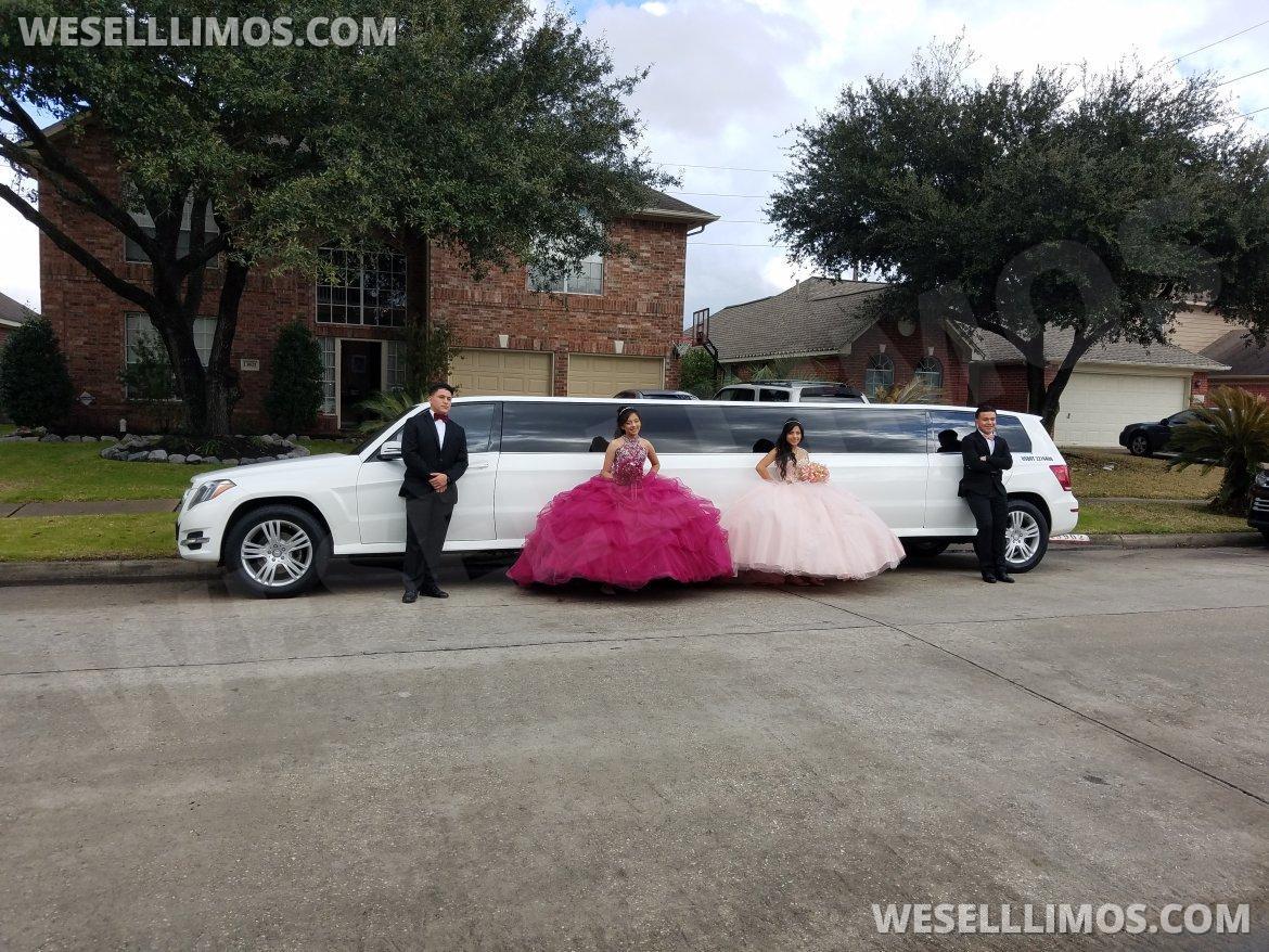 Limousine for Sale in SOUTH  HOUSTON, TX - Photo 13