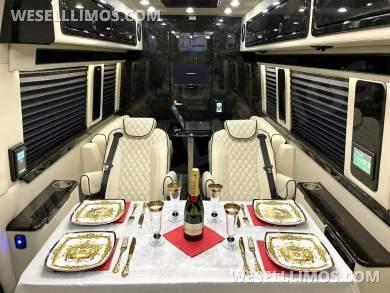 Auto Elite Eco Revolution Arched Partition Mercedes-Benz Sprinter - Sprinter for Sale in Elkhart, IN - Photo 16