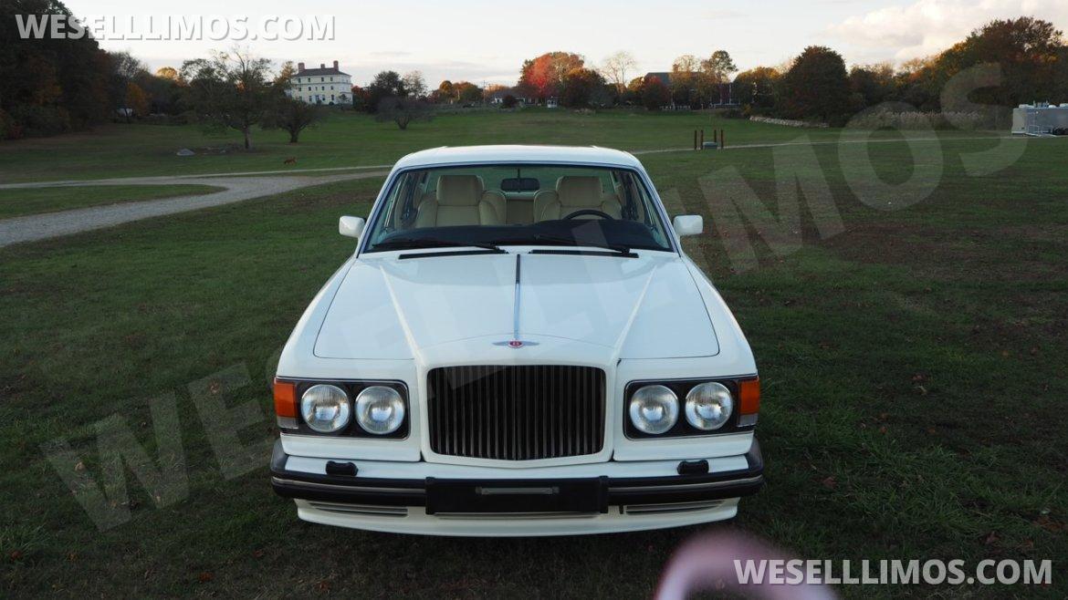 Exotic for Sale in Exeter, RI - Photo 3