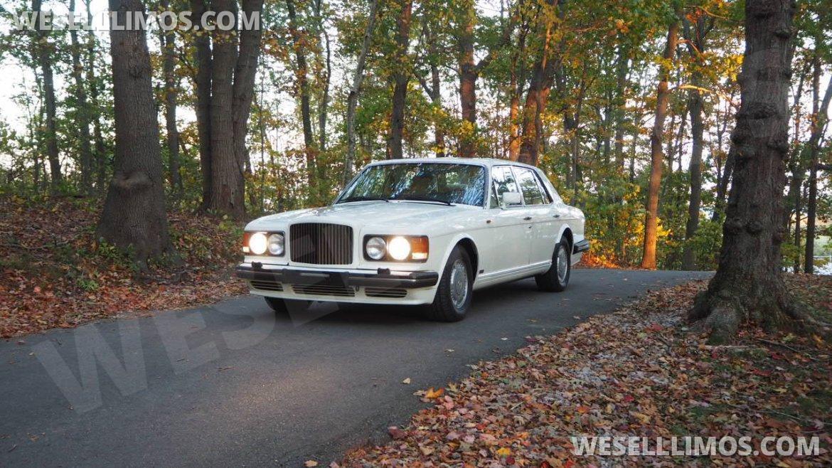 Exotic for Sale in Exeter, RI - Photo 21