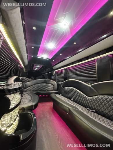2020 Mercedes-Benz Limo Sprinter Sprinter for Sale in Springfield, MO - Photo 2