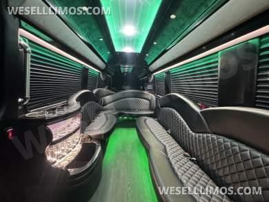 2020 Executive Coach Builders Mercedes-Benz Limo Sprinter Sprinter - Sprinter for Sale in Springfield, MO - Photo 15