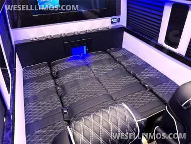 2022 4x4 Auto Elite Road Liner Limousine 15 Passenger Mercedes-Benz Sprinter - Sprinter for Sale in Elkhart, IN - Photo 4