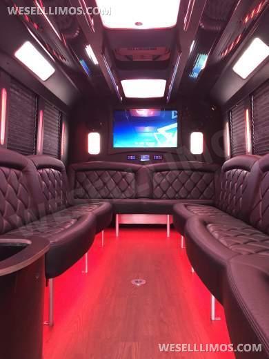 2014 Tiffany Ford E450 Limo Bus - Limo Bus for Sale in Spotswood, NJ - Photo 11