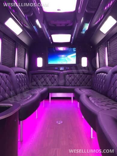 2014 Tiffany Ford E450 Limo Bus - Limo Bus for Sale in Spotswood, NJ - Photo 12