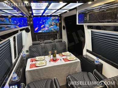 Road Jet 9 Passenger Limousine Auto Elite Mercedes-Benz Sprinter - Sprinter for Sale in Elkhart, IN - Photo 17