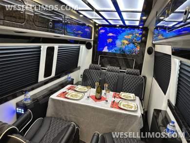 Road Jet 9 Passenger Limousine Auto Elite Mercedes-Benz Sprinter - Sprinter for Sale in Elkhart, IN - Photo 58