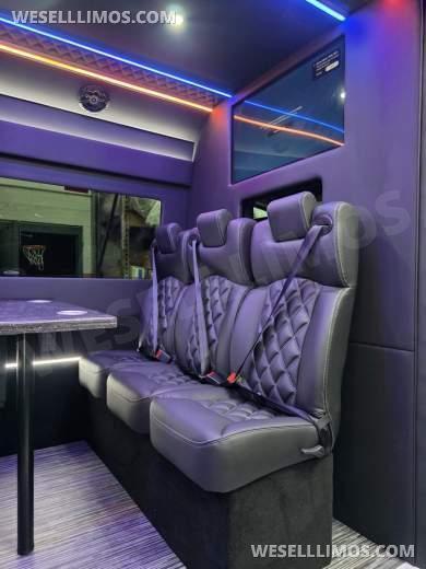 2026 Mercedes-Benz Executive Sprinter Executive Shuttle for Sale in Erie, PA - Photo 2