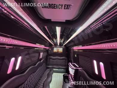2023 Platinum Big Toys Mercedes-Benz 14px Limo Sprinter - Sprinter for Sale in Springfield, MO - Photo 15