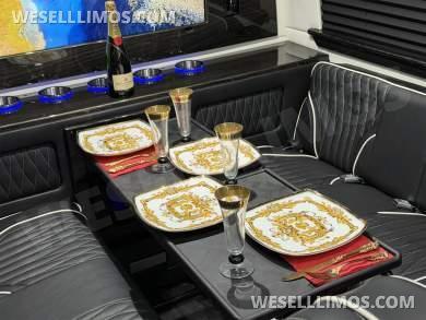 2026 Auto Elite AWD Executive Limousine Starlink Mercedes-Benz Sprinter - Sprinter for Sale in Elkhart, Indiana, United States - Photo 13