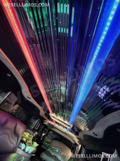 2005 H2 Stretch Hummer SUV Limousine - Limousine for Sale in Houston, Texas, United States - Photo 18