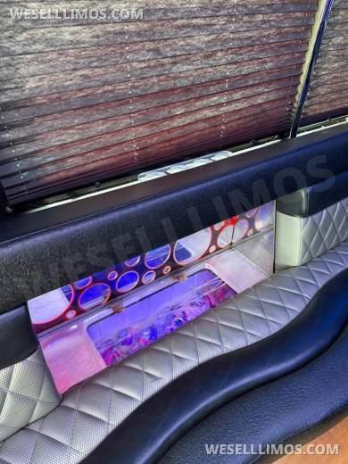 2014 LGE Ford E450 LGE Party Bus 20 Pax Limo Bus - Limo Bus for Sale in Cleveland, Ohio, United States - Photo 9