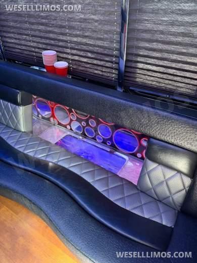 2014 LGE Ford E450 LGE Party Bus 20 Pax Limo Bus - Limo Bus for Sale in Cleveland, Ohio, United States - Photo 10