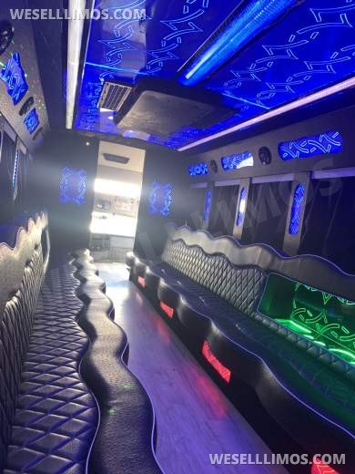 2015 Ford F550 Party Bus Limo - Limo Bus for Sale in LOS ANGELES, CA - Photo 11
