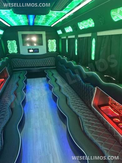 2015 Ford F550 Party Bus Limo - Limo Bus for Sale in LOS ANGELES, CA - Photo 12