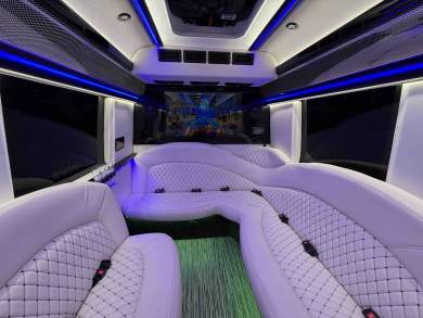 2026 170 Sprinter Limo Interior by Executive Coach Builders - Limo Bus for Sale in Springfield, MO - Photo 21