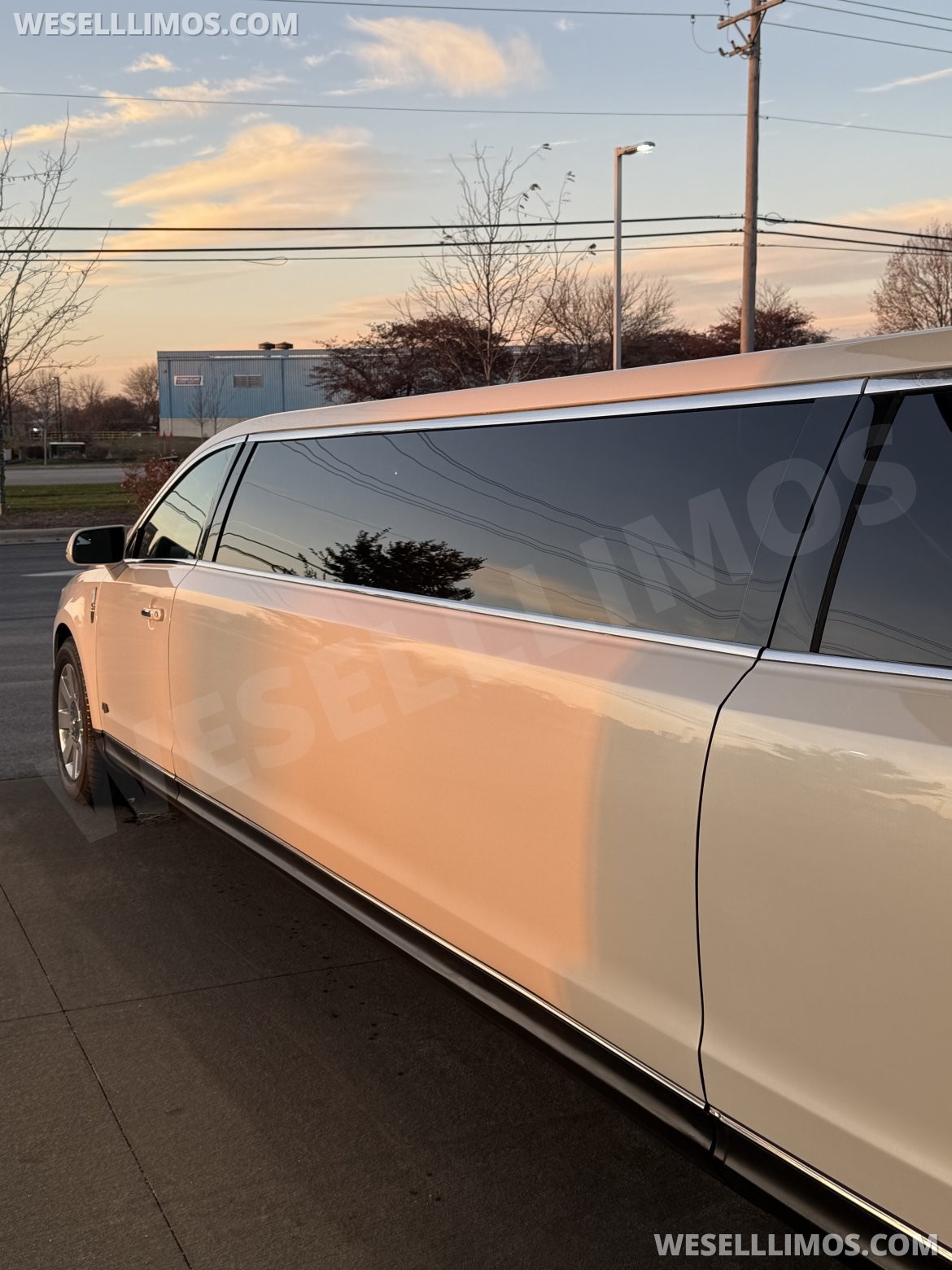 Photo of Limousine for sale: 2016 Lincoln MKT 120" by Royale