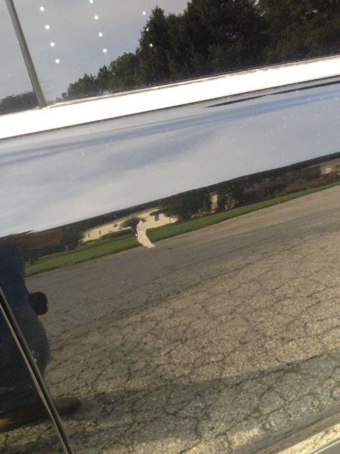 Limousine for Sale in Oaklyn, NJ - Photo 6